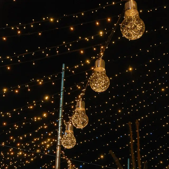 Warm Fairy Lights (100 ft)